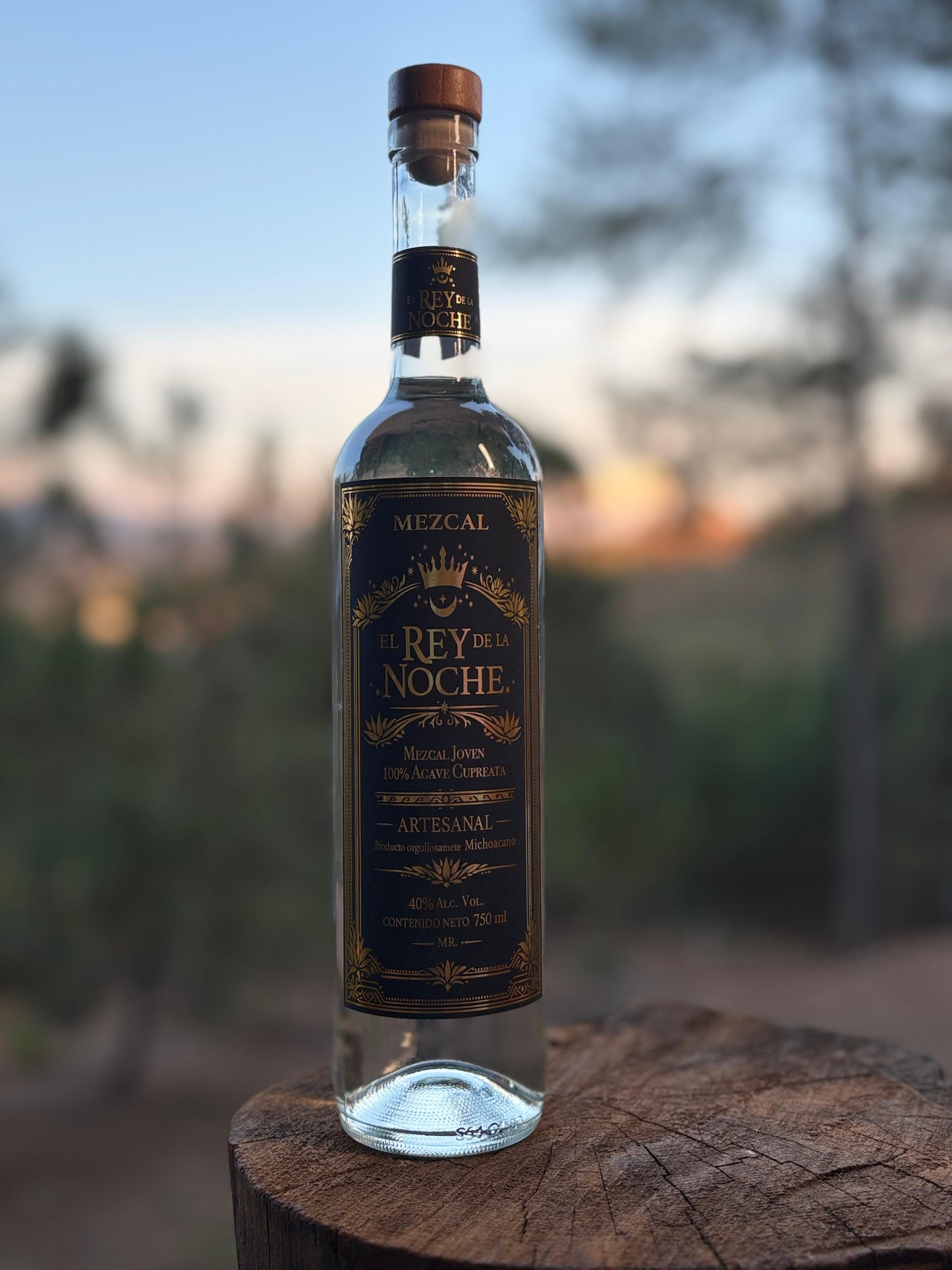 Mezcal Natural: La Esencia Silvestre del Cupreata